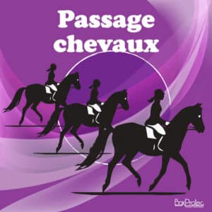 Panneau “Passage de chevaux” - violet