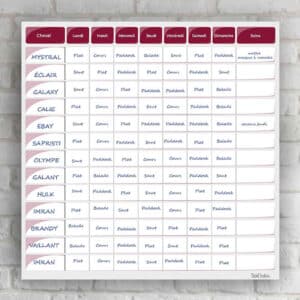 Planning de travail semaine