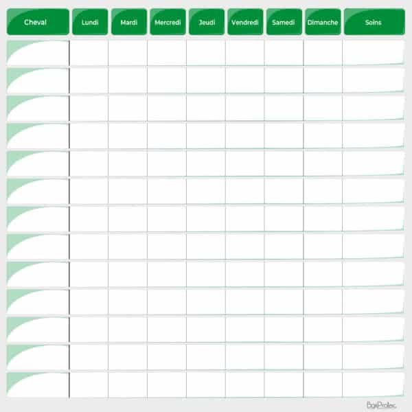 Planning de travail semaine vert