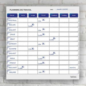 Planning de travail journalier - Bleu