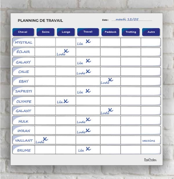 Planning de travail journalier mur blanc bleu