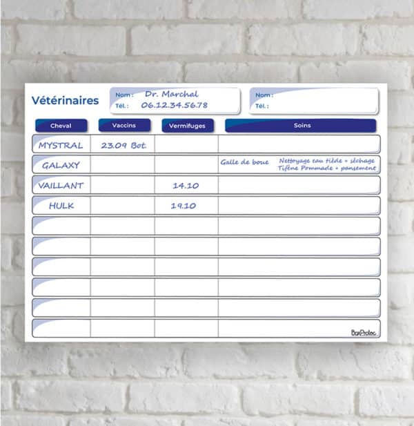 planning vétérinaire bleu mise en situation