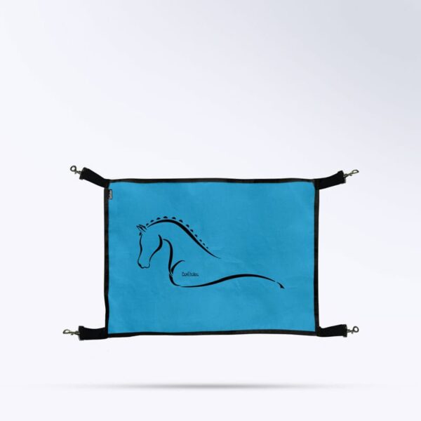 Porte de box - bleu