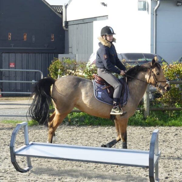 Obstacle soubassement culbutant pour chevaux