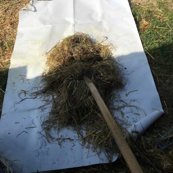 bâche pour ramasser le crottins de cheval