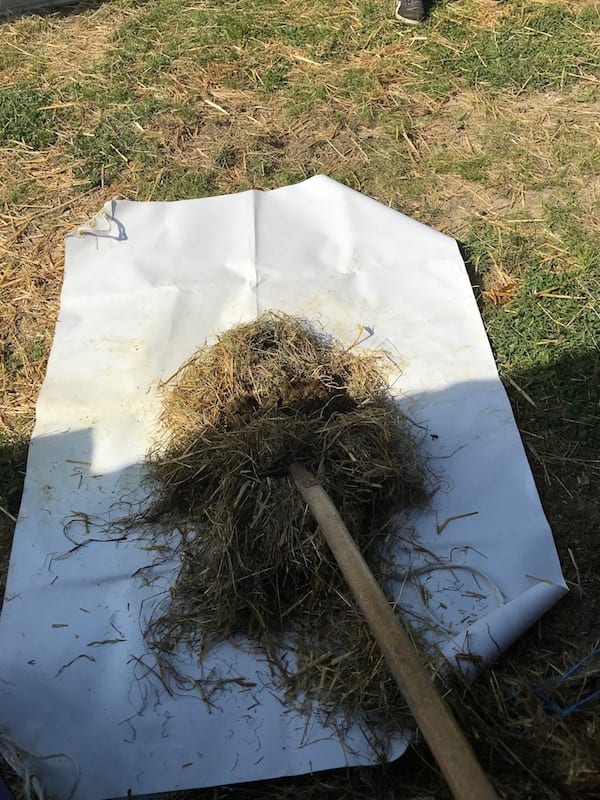 Bâche pour pailler les box en concours