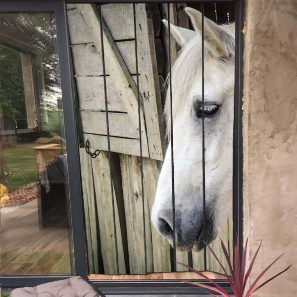 moustiquaire de porte micro aéré