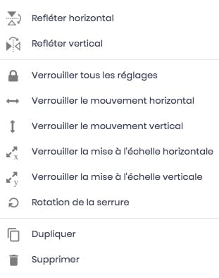 options tutoriel du logiciel de personnalisation