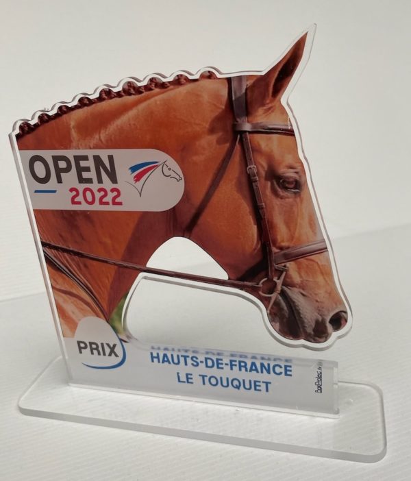 trophee plexiglass