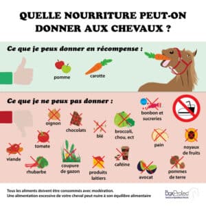Panneau “Quelle nourriture donner aux chevaux ?”