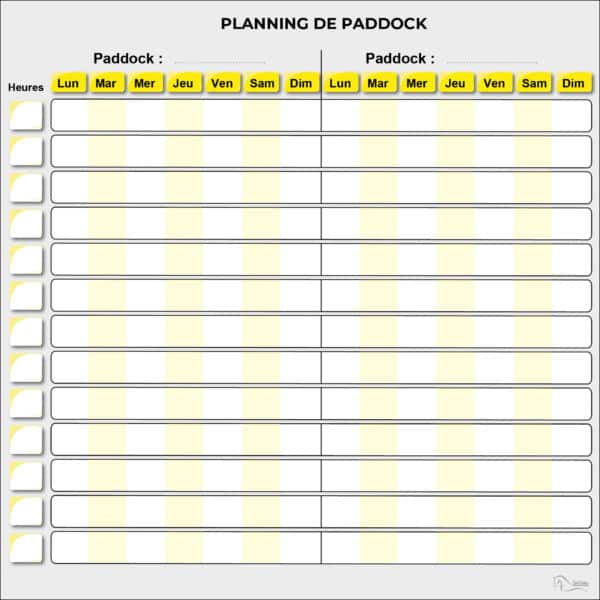 Planning de paddock jaune