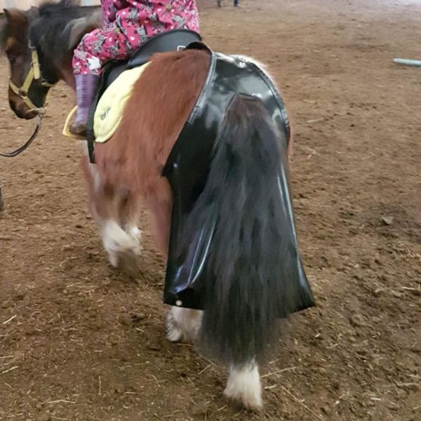 Sac à crottins chevaux ou shetland mini