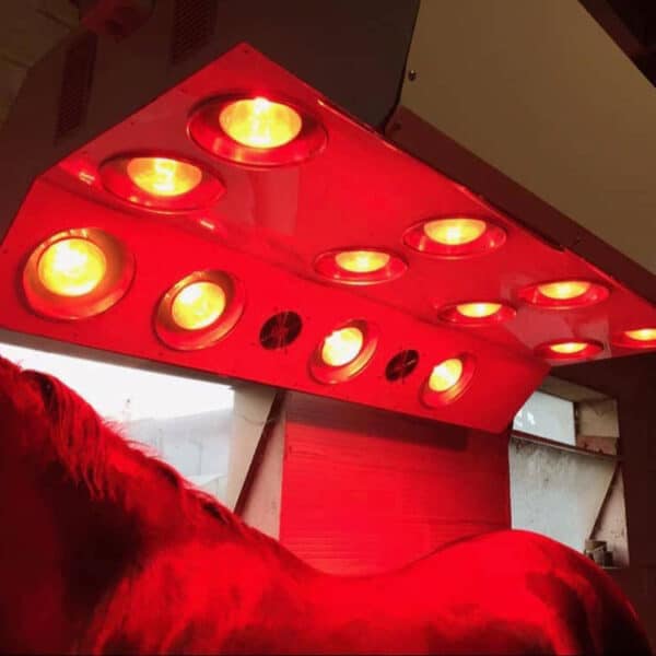 Solarium Solarium