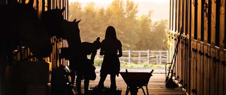 Conseils pour les gérants d'écurie