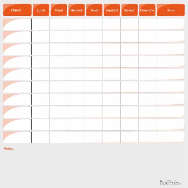 Planning de travail et soins semaine + notes orange