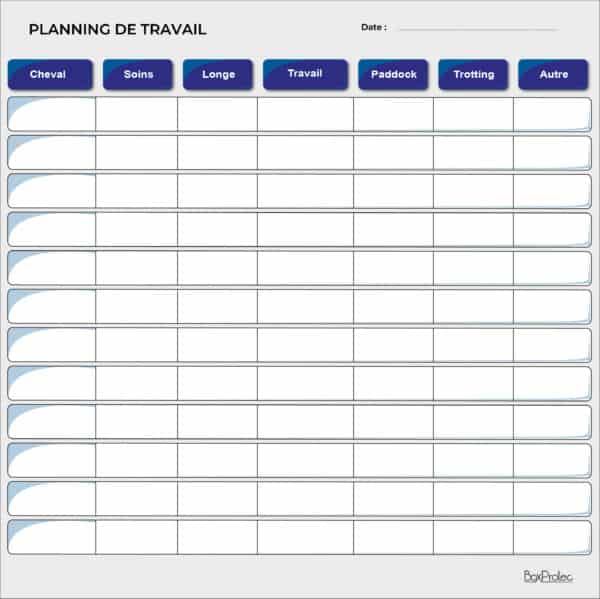 Planning de travail journalier bleu