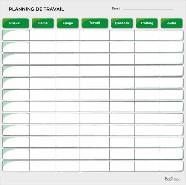 Planning de travail journalier vert