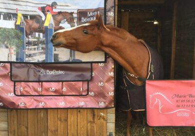 Tenture pro et porte de box