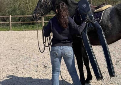 Mannequin de débourrage - Gilbert