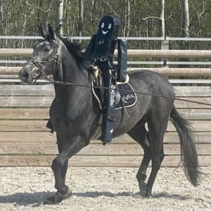 Mannequin de débourrage - Gilbert