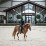 Gilbert Junior – mannequin de débourrage poney et shetland BoxProtec
