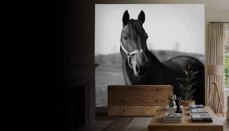 Décoration & Intérieur