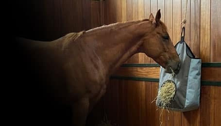 Sacs d'équitation